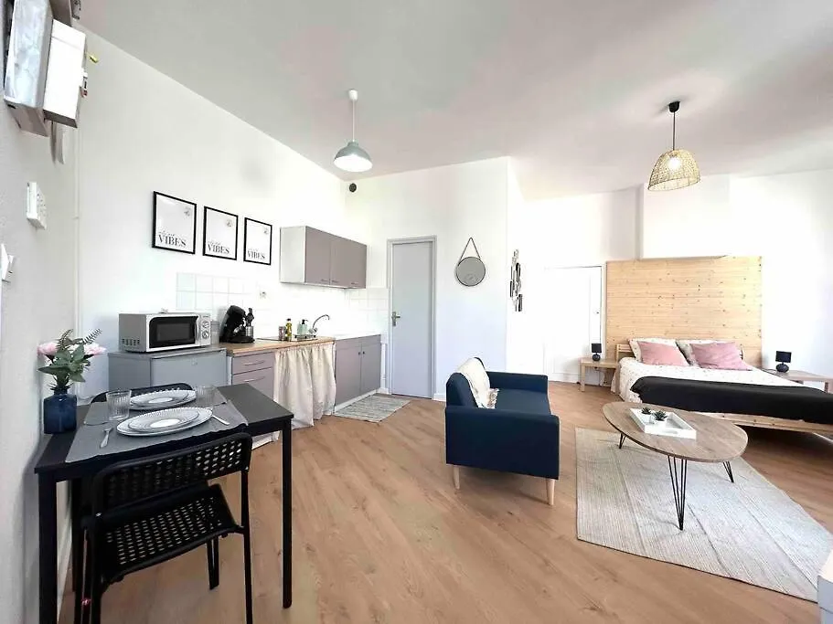 Studio Le «Victor Hugo» , Hyper Centre Ville Vienne  0*, Vienne (Isere) France