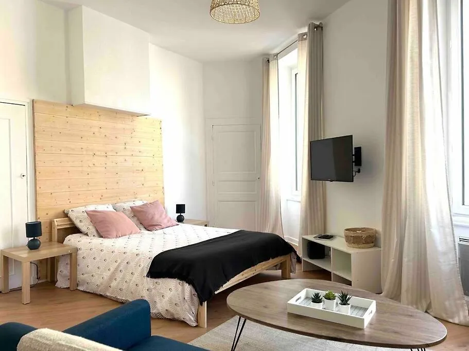 Apartment Studio Le «Victor Hugo» , Hyper Centre Ville Vienne  France