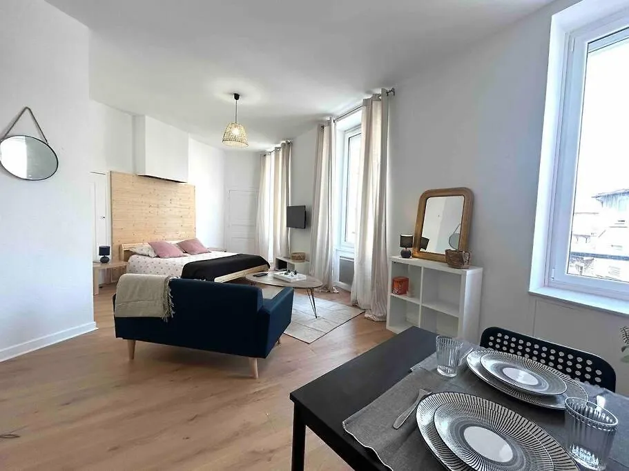 Studio Le «Victor Hugo» , Hyper Centre Ville Vienne  France