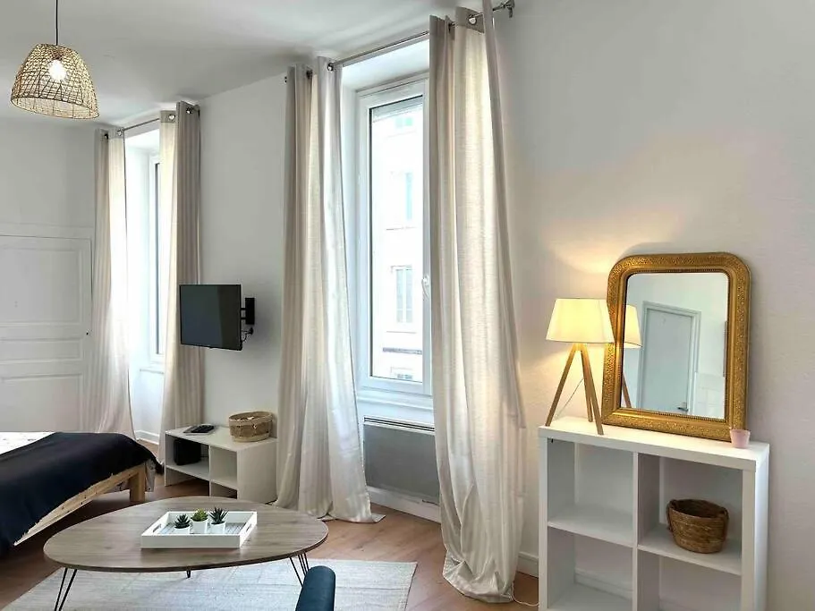 Studio Le «Victor Hugo» , Hyper Centre Ville Vienne  Vienne (Isere)
