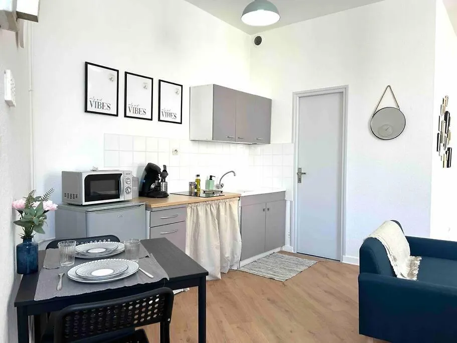 Apartment Studio Le «Victor Hugo» , Hyper Centre Ville Vienne