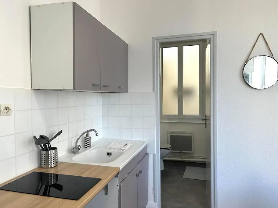Apartment Studio Le «Victor Hugo» , Hyper Centre Ville Vienne  France