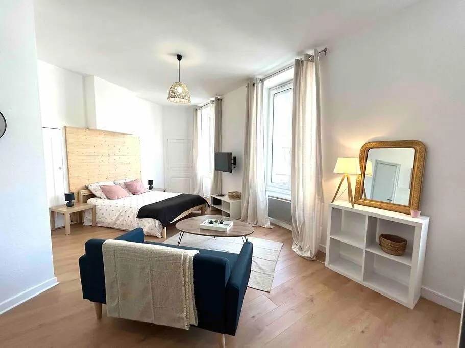 Studio Le «Victor Hugo» , Hyper Centre Ville Vienne