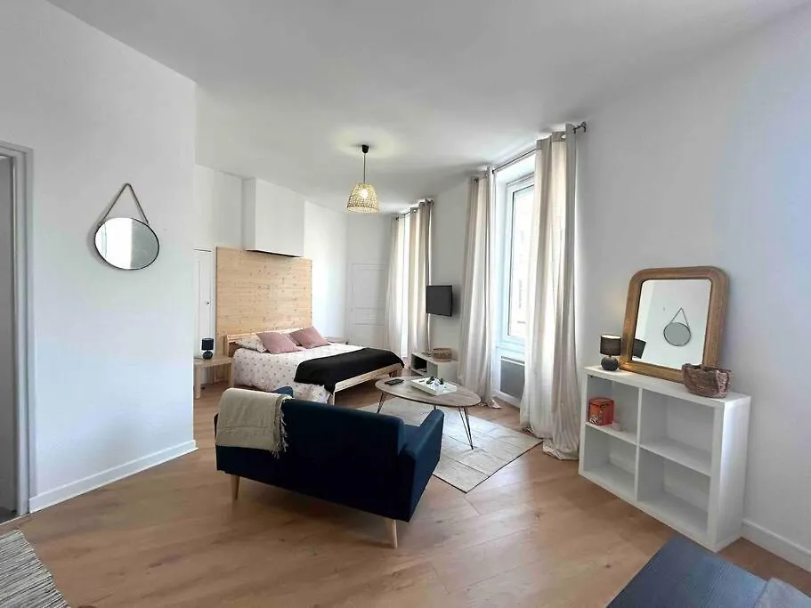 Studio Le «Victor Hugo» , Hyper Centre Ville Vienne  Apartment